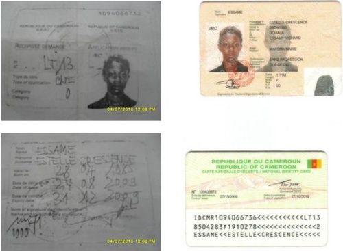 Plus de 4 500 CNI délivrées aux électeurs potentiels à Maroua Plus de 4 500 CNI délivrées aux électeurs potentiels à Maroua