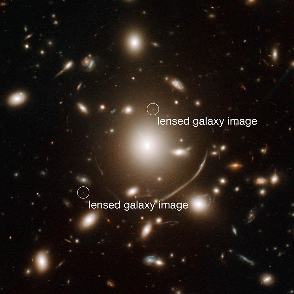 The giant cluster of elliptical galaxies in the center of this image contains so much dark matter mass that its gravity bends light. This means that for very distant galaxies in the background, the clusterâ€™s gravitational field acts as a sort of magnify