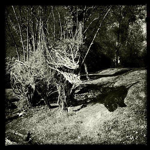 D'un autre oeil... photo-6-.JPG