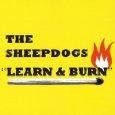 sheepdogs Le meilleur de 2010 – Acte II