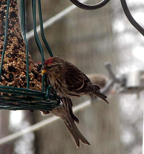Dans le bon sens? DSC09866-1