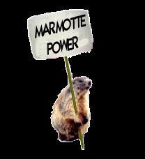 gifs1_marmotte_power journal des blogs que j’aime à moi