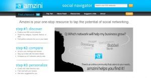 amzini Quels réseaux sociaux pour quelle stratégie de présence ?