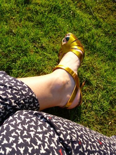 flying lotus P1020857.JPG