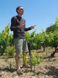 olivier jullien vignes languedoc 224x300 actualite  Dégustation Les Vignes Oubliées