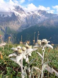 Ski de printemps