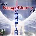 NN08