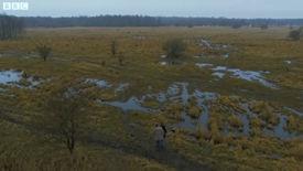 Nature morte Forbrydelsen___1