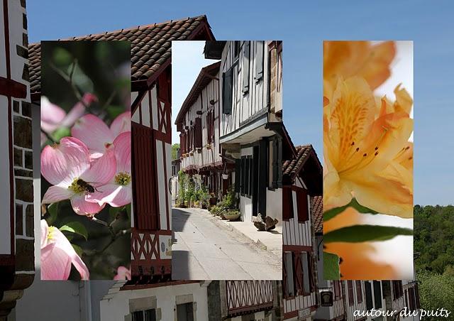 ESCAPADE BIARROTE ESCAPADE BIARROTE