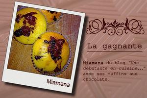 La gagnante de mon 2ème jeu est ...... N°22 affichegagnante