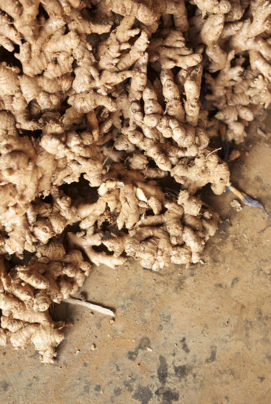 Gingembre, Kerala Cuisine Ayurvédique à l’Arbre de Vie le 7 février à 19h