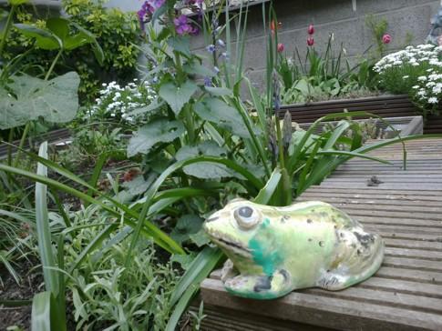 C'est le printemps ! C'est le printemps !