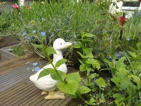 C'est le printemps ! C'est le printemps !