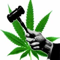Jamaïque, bientôt la décriminalisation du cannabis? 