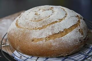 Mariage gustatif purement québécois Mariage gustatif purement québécois