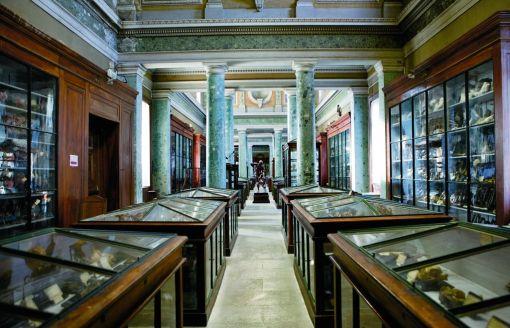  Le musée d\'anatomie, ses armoires et vitrines, soutenu par des colonnes doriques, tel qu\'il a été créé en 1851. Ci-dessous la salle du Conseil et sa galerie de portraits.