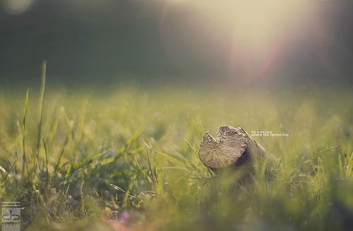 Christopher Wesser Sélection Flickr Pixfan #16