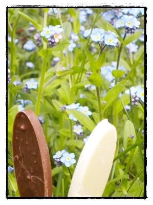 Mais où est passé le lapin de Pâques??? Mais où est passé le lapin de Pâques???