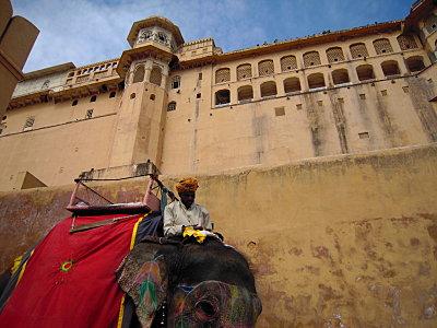 Inde,..le retour! india 2010 029