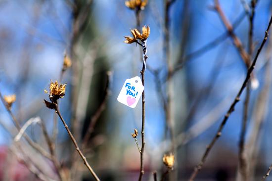 AGDMAG_street-art-katie-sokoler-1 Katie Sokoler