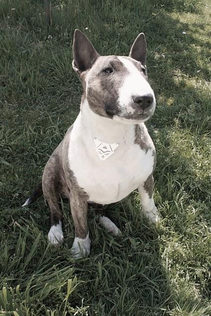 LE TROISIEME LE TROISIEME