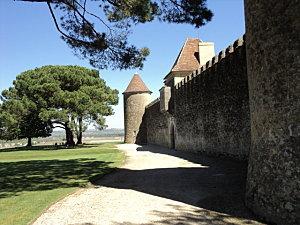 Chateau d'Yquem 2010 DSC02549