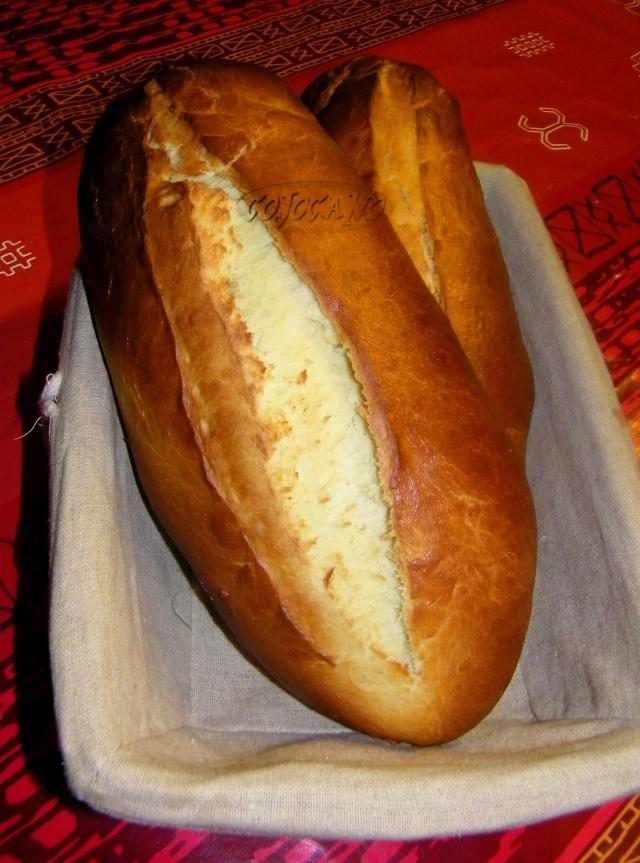 http://i29.servimg.com/u/f29/11/69/53/34/101_0049.jpg