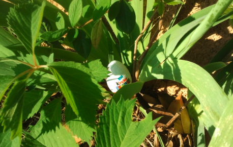 A vos marques, prêtes ... partez !!! (des jeux) Image-5-copie-4.png