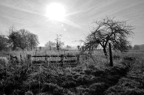 Interview photographe - Marion Crosnier - soleil-barrière-mercerie Interview photographe – Marion Crosnier