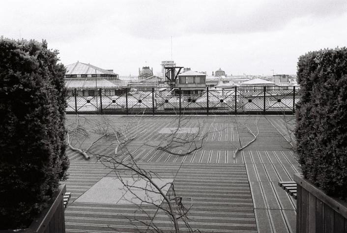 Branches de tilleul sur terrasse Louis Vuitton en attente d'installation de Paule Kingleur - photo Carine Tedesco