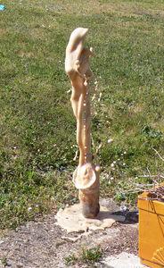 Ils l'ont fait ! geyser_JB