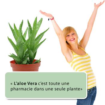 aloe_vera_noni_antioxydant_agoji_bio Propriétés curatives de l'Aloe vera