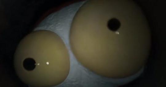 Cartoon_network_02 Cartoon Network ident | Meinbender