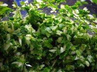 Journée seiches et blanc Journée seiches et blanc