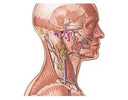 CANCERS: Le “Na-Nose”, un test de l’haleine pour détecter la maladie – British Journal of Cancer