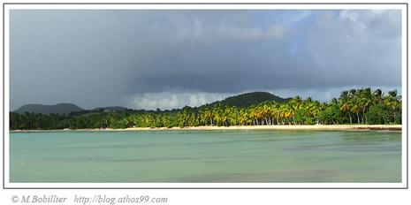 Plage Grande Anse des Salines Martinique Plage Grande Anse des Salines Martinique