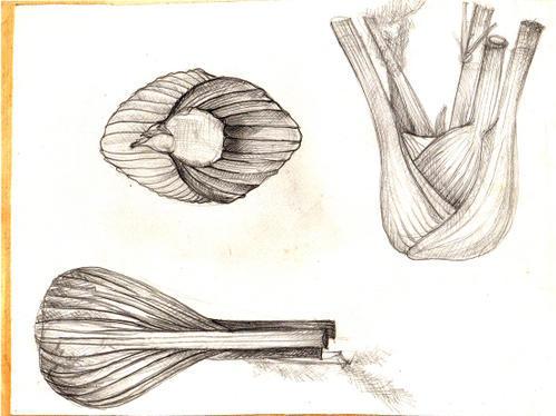 Un parfum si particulier fenouils122.jpg