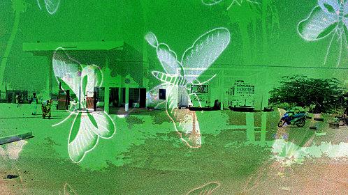 gazoline station Senegal Tabanou Rusha gazoline-station-in-senegal-and-butterflies.jpg