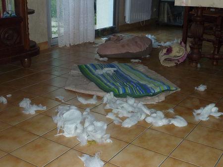 Mes tapis, que vous êtes doux ! P1090777