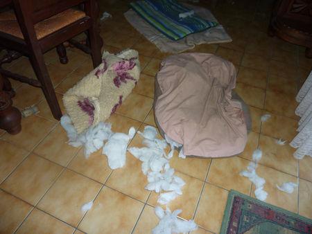 Mes tapis, que vous êtes doux ! P1090775