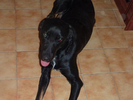 Mes tapis, que vous êtes doux ! P1090785