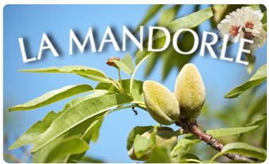 Partenariats La mandorle et Mon fournil et mise à l'honneur Partenariats La mandorle et Mon fournil et mise à l'honneur