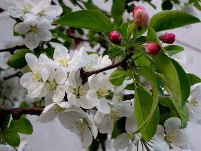 C'est une tâche herculéenne ? C'est une tâche herculéenne ?