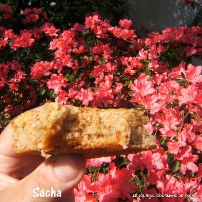 Cookies de l'écureuil Cookies de l'écureuil