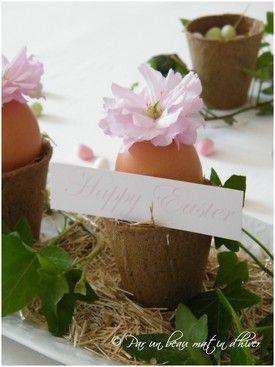 UN DIMANCHE ...Dresser une Jolie tableMettre les p... DSCF6093