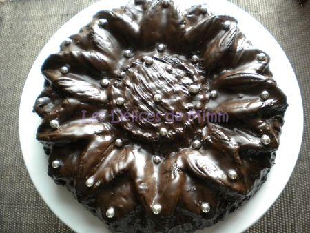 Gâteau au chocolat au micro-ondes DSCN3062bis