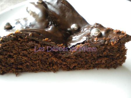 Gâteau au chocolat au micro-ondes DSCN3071bis