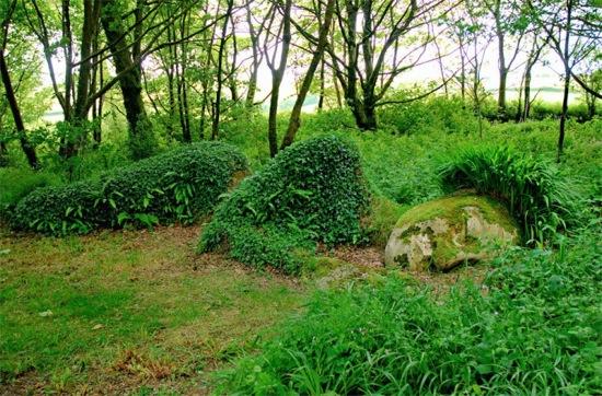 Heligan ou les jardins perdus de Cornouailles - 6
