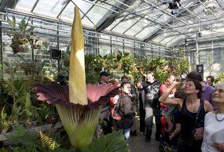 Titan-ouvert Titan-ouvert