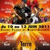 Festival Terre de Blues 2011.jpg